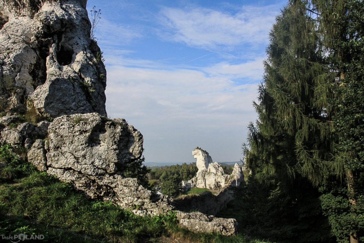 Taste Poland Ogrodzieniec NoName
