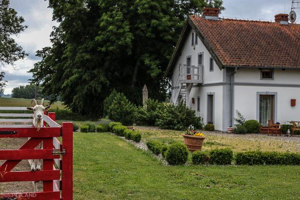 Z wizytą w Siedlisku Blanki Taste Poland Blanki Siedlisko agroturystyka