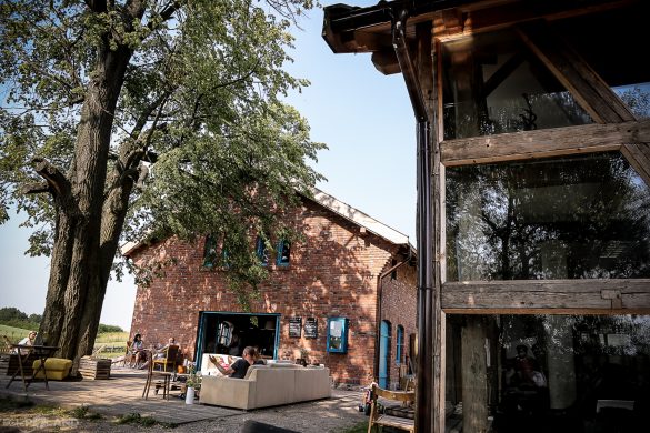 Kwaśne Jabłko Taste Poland Kwaśne Jabłko cydr