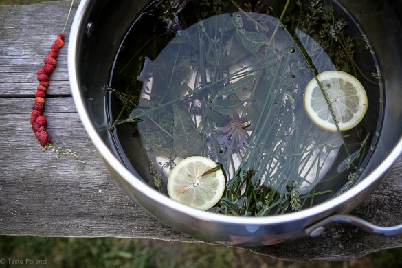 Alchemiczne Warsztaty w Lawendowym Polu Taste Poland Lawendowe Pole