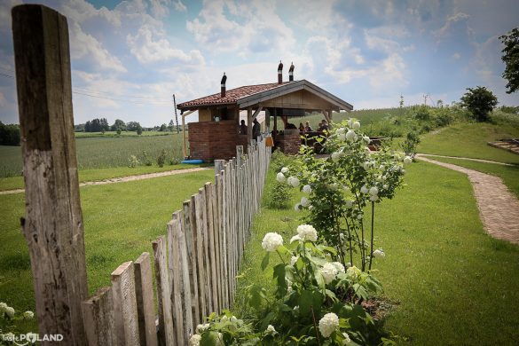 kwasne jablko-7 Kwaśne Jabłko