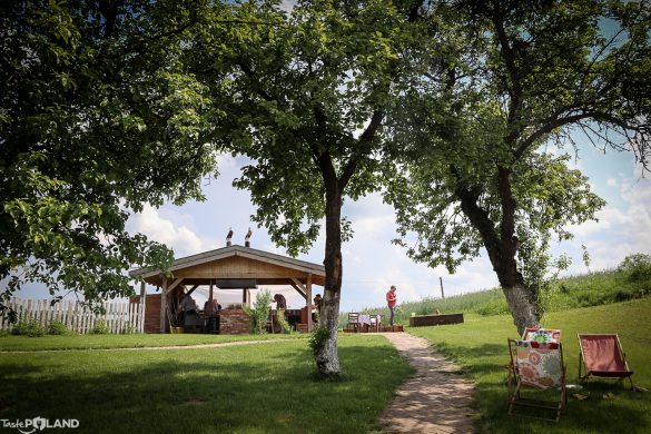 kwasne jablko-8 Kwaśne Jabłko