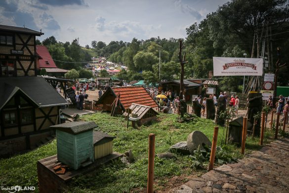 festiwal smaku w grucznie-18