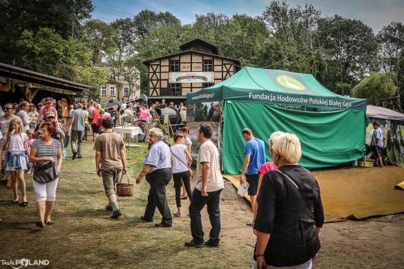 festiwal smaku w grucznie-2