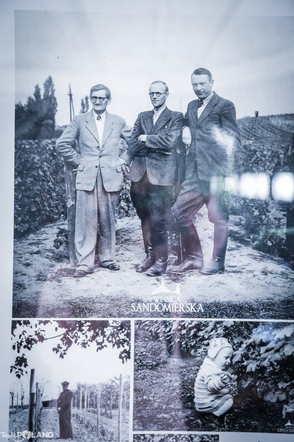 sandomierz_tastepoland_-39 taste poland winnica sandomierska polskie wino