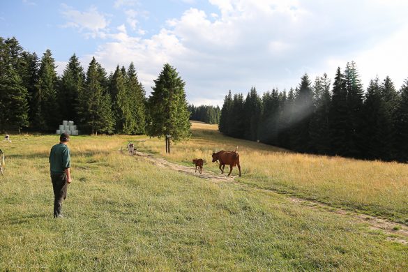 zakopane-18