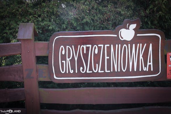 Gryszczeniówka Taste Poland
