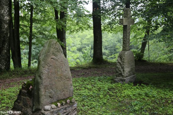 ciekocinko-10