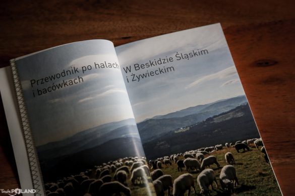 bacówka przewodnik