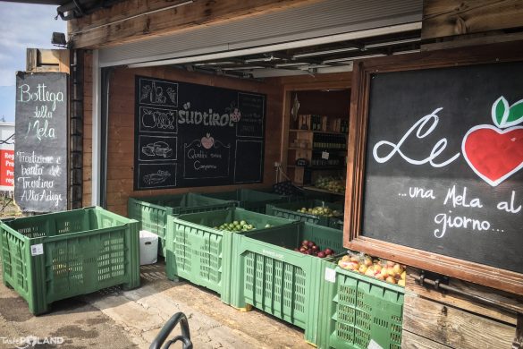 Nie same jabłka jablka-taste poland-inspiracje-wlochy