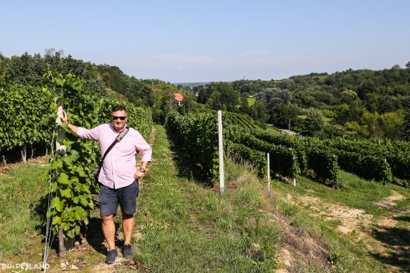 taste poland winnica sandomierska polskie wino